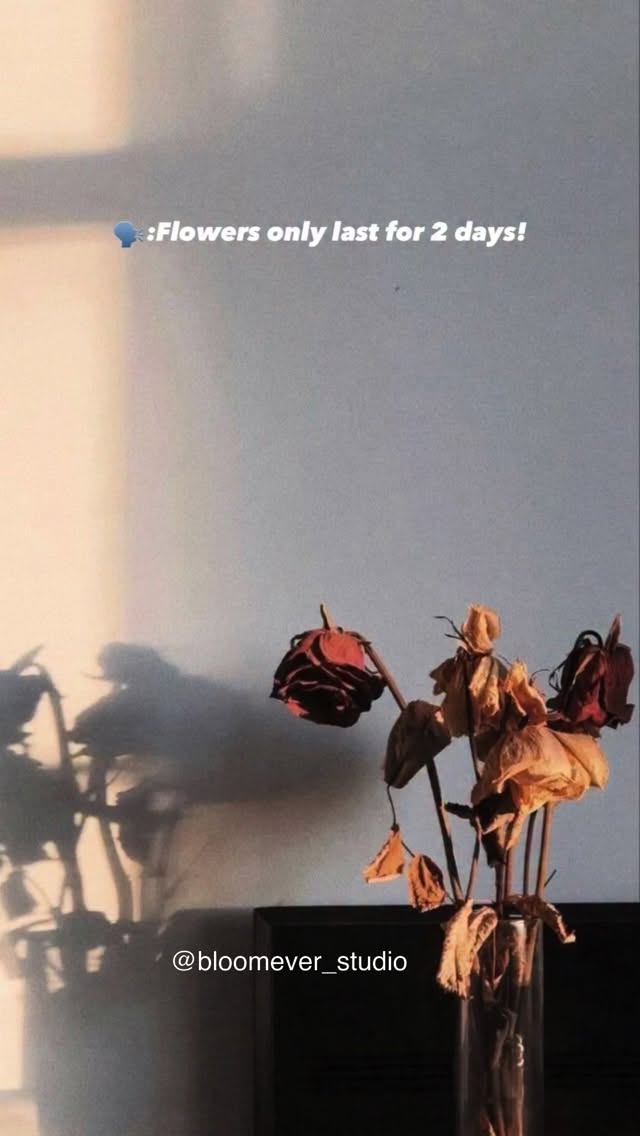 They said, “Flowers only last for 2 days.” 🌹🥀

So I created bouquets that last forever. 💐✨

Handmade pipe cleaner flower bouquets crafted with love, designed to stay beautiful for years.

Perfect for birthdays, anniversaries, proposals, surprises, and every special moment. 💖

Because memories should last longer than flowers. 🌸

📩 DM @bloomever_studio for custom forever flower bouquets.

#ForeverFlowers #HandmadeBouquet #PipeCleanerFlowers #GiftIdeas #viralreel